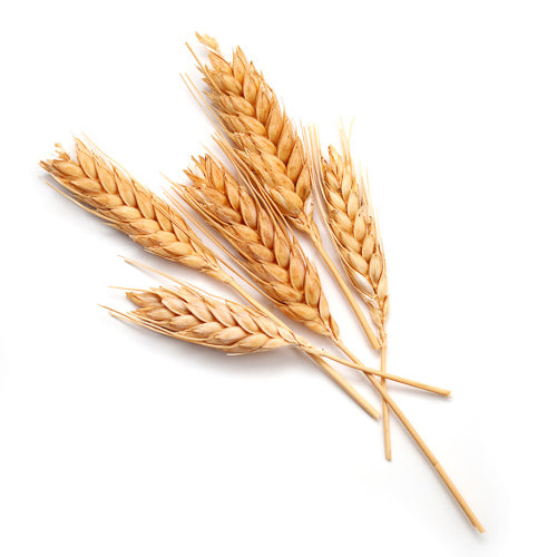 hydrolyzed wheat bran