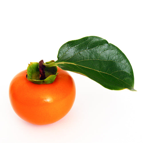 persimmon leaf